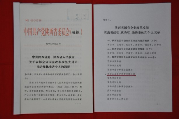 2009年2月，，被陕西省委、省政府授予陕西省国有企业刷新攻坚先进整体