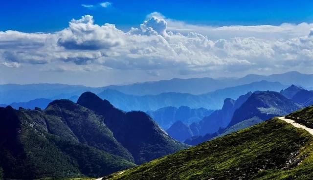 【情形；；；；；ぁで亓胛ソā壳亓胛ソū鹗:总书记扭住不放才得以彻底整治